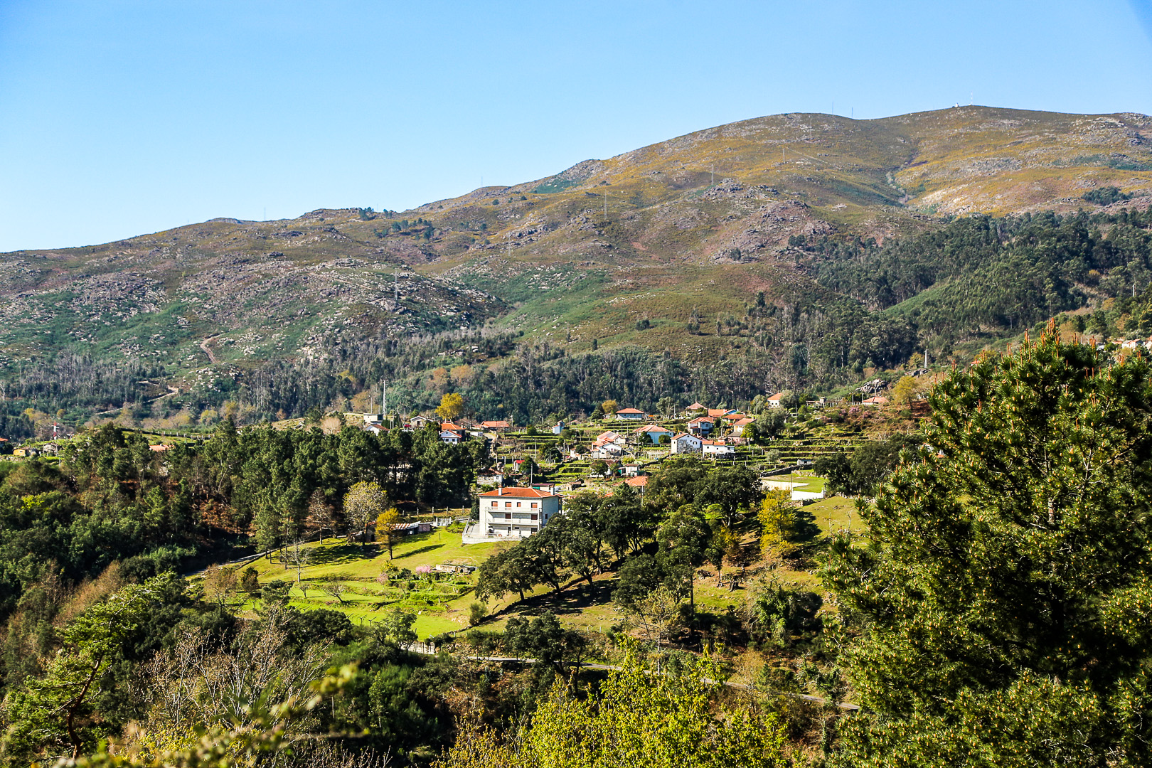 Le Bosquet de Forêt Mixte - Peneda-Gerês